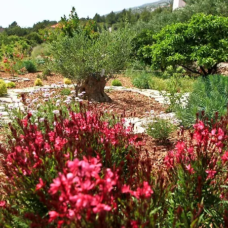 Ivanko